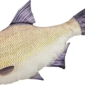 Gaby Polštář Cejn mini 35cm | Špičková kvalita