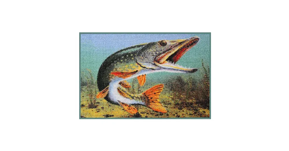 Kupte nyní - Rohož 3D štika 60x40cm