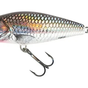 Salmo Wobler Perch Floating 8cm | Sleva navíc
