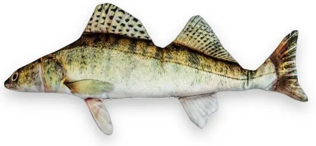 Akce - Polštář BeCare Candát Velikost M 43cm