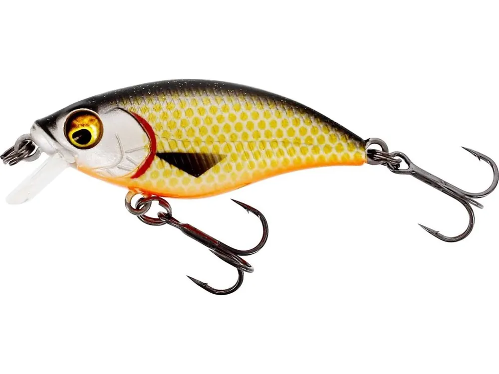 Top produkt - Westin Wobler Buzzbite SR Crankbait Suspending Official Roach